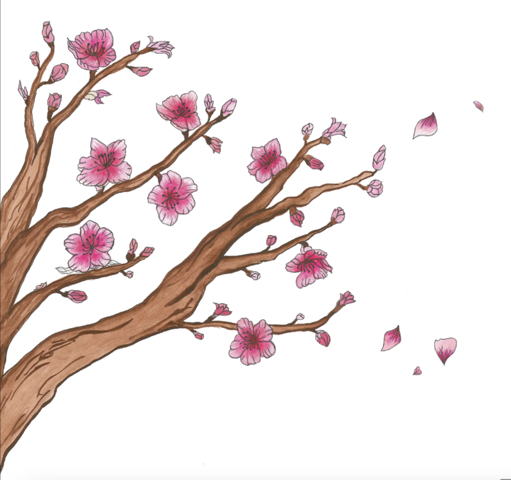 Cherry blossom left page