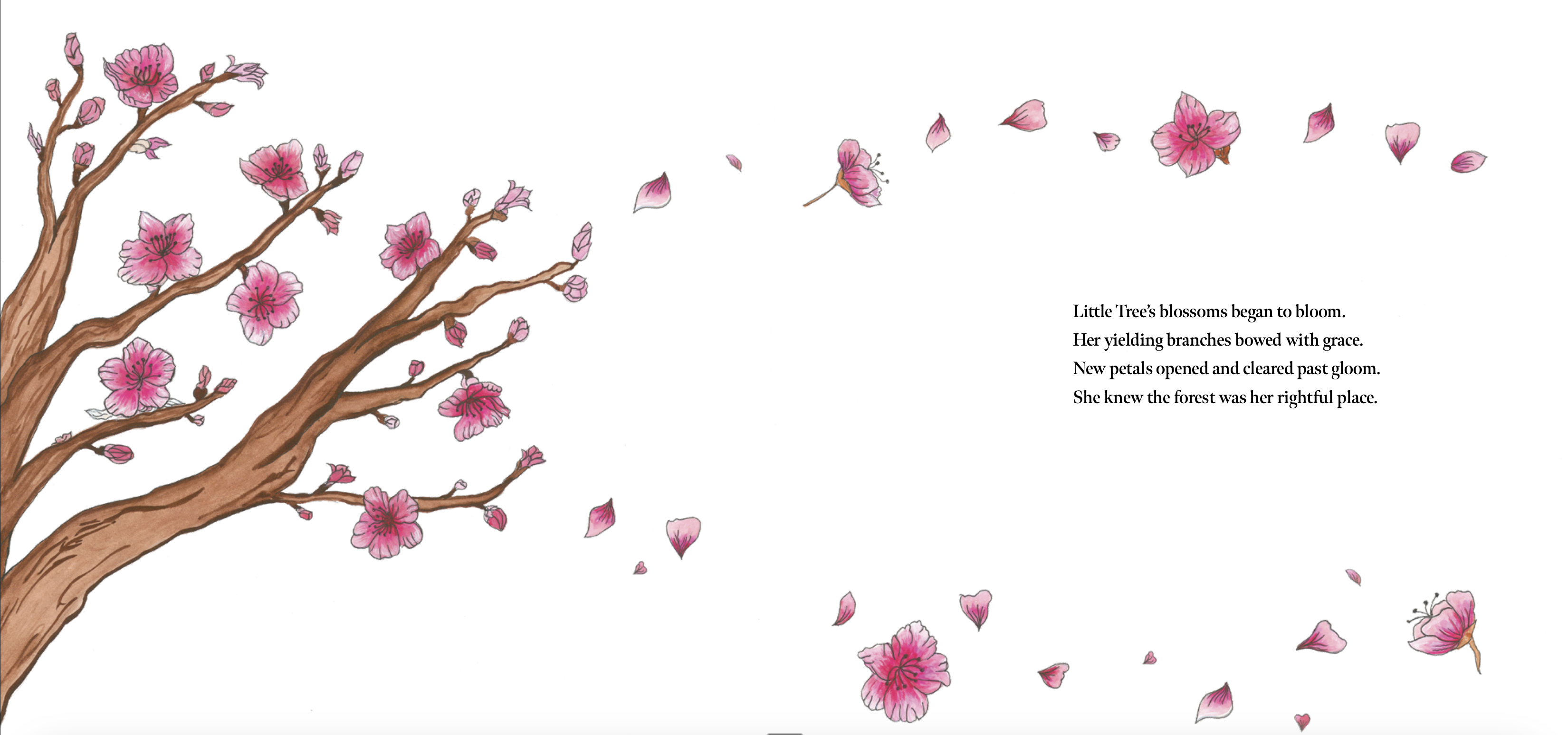 Cherry blossom blowing in the wind